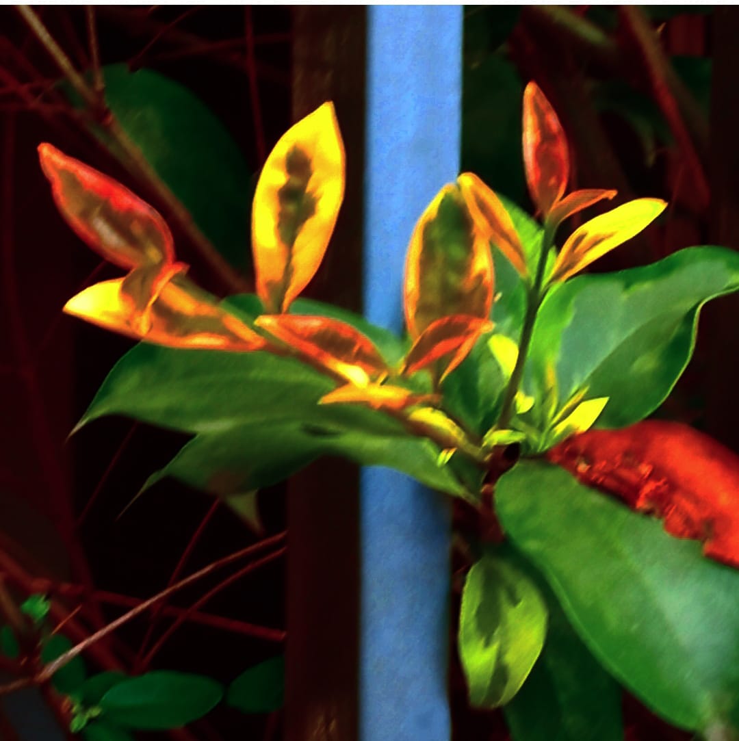 Unione civile e Matrimonio verso l'uguaglianza